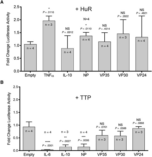 TTP represses NP 3′ UTR-luciferase reporter activity. 293T cells were seeded in 12-well plates at a density of 1.5 × 105 cells per well and transfected 1 day later with individual pMIR-REPORT plasmids containing the indicated 3′ UTR or pMIR-REPORTempty (empty) as a negative control along with 100 ng of pMIR-β-gal as a transfection control. Cells were transfected with 100 ng of the pMIR-REPORT plasmids alone or with an additional expression plasmid encoding HuR, 100 ng (A) or TTP, 25 ng (B). Cell lysates were harvested 2 days posttransfection and measured for luciferase and β-gal activity. Luciferase values were normalized to β-gal activity, which was converted to milliunits. The normalized luciferase values for the individual 3′ UTR pMIR-REPORT constructs in the presence of the indicated ARE-BP were divided by the normalized luciferase values for the individual 3′ UTR pMIR-REPORT constructs in the absence of any ARE-BP. These values were then compared to the negative control, which was set to one; n indicates the number of replicates for each condition. Statistical analysis was performed using the GraphPad Prism software, using their 1-sample t test analysis. NS P value > .05, * P value ≤ .05, ** P value ≤ .01, *** P value ≤ .001, **** P value ≤ .0001. Error bars depict the standard deviation. Abbreviations: ARE-BP, binding proteins targeting AU-rich elements; β-gal, β-galactosidase; HuR, human antigen R; IL, interleukin; NP, nucleoprotein; NS, not significant; TNF-α, tumor necrosis factor-α; TTP, tristetraprolin; UTR, untranslated region.
