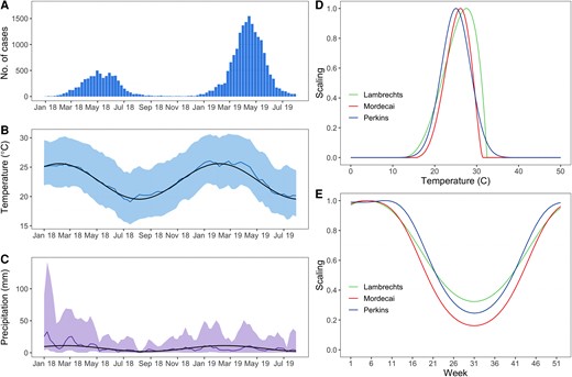 Epidemic curve, climate, and scaling factors modulating the transmission rate in the SIR (susceptible-infectious-recovered) model. A, Epidemic curve. The bars represent the weekly number of confirmed cases. B, Temperature in degrees Celsius and (C) precipitation in mm. The climate model fitted to the last 15 years of data is represented by the black line while measurements during the study period are represented in color (colored lines represent the averages while the colored areas encompass the 2.5 and 97.5 percentiles). D, Scaling factor versus temperature. E, Scaling factor versus time for a typical year in Reunion Island.