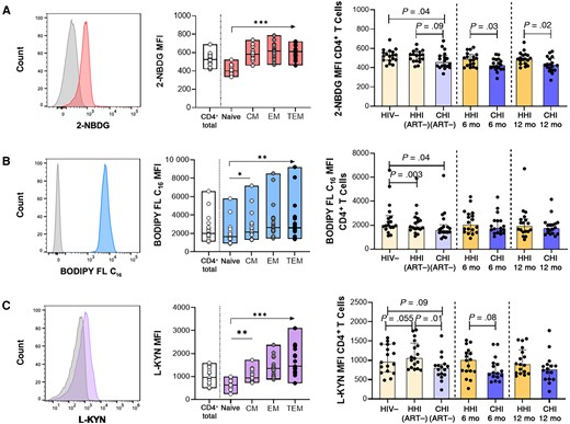 Compromised metabolite analogue uptake by CD4+ T cells in human immunodeficiency virus (HIV)-1 infection with partial correction following antiretroviral therapy (ART) initiation. A, Left, Representative histogram of 2-deoxy-2-(7-nitro-21,3-benzoxadiazol-4-yl)amino-D-glucose (2-NBDG) uptake (glucose) compared with Fluorescence Minus One (FMO) control in CD4+ T cells. Middle, 2-NBDG uptake in CD4+ T cells and subsets in the HIV-1–negative (HIV−) group. Right, Comparison of 2-NBDG uptake in CD4+ T cells between hyperacute HIV-1 infection (HHI) and chronic HIV-1 infection (CHI) groups before and after ART. B, Left, Representative histogram of 4,4-difluoro-5,7-dimethyl-4-bora-3a,4a-diaza-s-indacene-3-hexadecanoic acid (BODIPY FL C16) uptake (lipids) compared with FMO control in CD4+ T cells. Middle, BODIPY FL C16 uptake in CD4+ T cells and subsets in the HIV− group. Right, Comparison of BODIPY FL C16 uptake in CD4+ T cells between HHI and CHI groups before and after ART. C, Left, Representative histogram of L-kynurenine (L-KYN) uptake (amino acids) compared with FMO control in CD4+ T cells. Middle, L- KYN uptake in CD4+ T cells and subsets in the HIV− group. Right, Comparison of L-KYN uptake in CD4+ T cells between HHI and CHI groups before and after ART. Abbreviations: 6 mo, 6 months after ART initiation; 12 mo, 12 months after ART initiation; ART−, ART naive; CM, central memory; EM, effector memory; MFI, Median Fluorescence Intensity; TEM, terminal EM. *P < .05; **P < .01; ***P < .001.