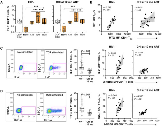 Metabolic dysregulations are associated with reduced cytokine production and cellular exhaustion of CD4+ T cells in individuals initiating antiretroviral therapy (ART) during chronic human immunodeficiency virus (HIV)-1 infection (CHI). A, Frequency of PD-1+ CD4+ T cells and subsets in the HIV-1–negative (HIV−) group (left) and CHI treated group at 12 months after ART initiation (right). B, Correlations between frequency of PD-1+ CD4+ effector memory T (TEM) cells and MitoTracker Green FM dye (MTG) uptake in CD4+ TEM cells. C, Left, Representative gating strategy showing interleukin-2 (IL-2) production by CD4+ T cells without or with stimulation. Middle, Comparison of IL-2 production by T cell receptor (TCR)–stimulated CD4+ T cells between the HIV− group and the CHI treated group at 12 months after ART initiation. Right, Correlations between IL-2 production and glucose uptake by CD4+ T cells in the HIV− group and the CHI treated group at 12 months after ART initiation. D, Left, Representative gating strategy showing tumor necrosis factor (TNF)-α production by CD4+ T cells without or with stimulation. Middle, Comparison of TNF-α production by TCR-stimulated CD4+ T cells between the HIV− group and the CHI treated group after 12 months of ART. Right, Correlations between TNF-α production and glucose uptake by CD4+ T cells in the HIV− group and the CHI treated group after 12 months of ART. ***P < .001. Abbreviations: 12 mo, 12 mo after ART initiation; CM, central memory; MFI, Median fluorescence intensity; SSC, side scatter; TEM, terminal EM.