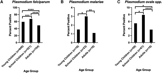 Tukey analysis of malaria species positivity rate by age strata. A total of 1081, 772, and 1413 individuals were in the young children (<5 years), schoolchildren (5–16 years), and adult (>16 years) strata, respectively. The number of positive samples per age strata for each species is shown on the x-axis. A, Plasmodium falciparum parasite rate by age strata. B, Plasmodium malariae parasite rate by age strata. C, Plasmodium ovale spp. parasite rate by age strata. Pairwise comparisons of strata with significant differences in parasite rate are shown. All other pairwise comparisons were nonsignificant. * P < .05, ** P < .01, *** P < .001, **** P < .0001.
