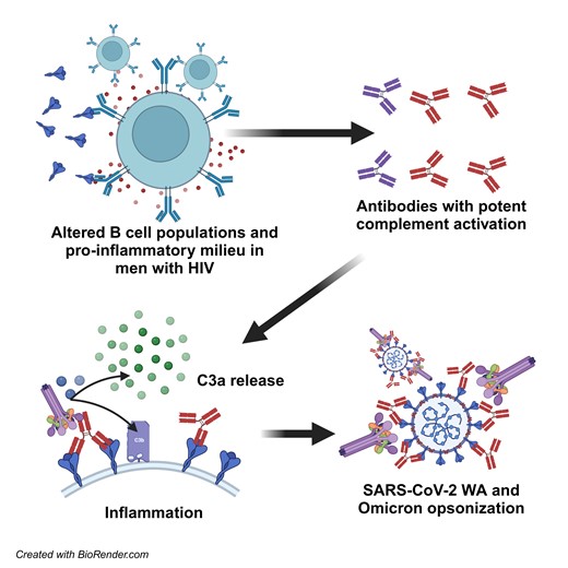 Graphical Abstract
