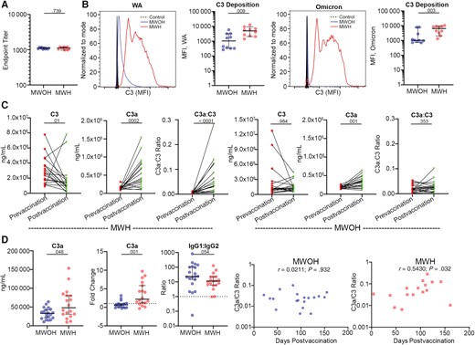 Complement activity in SARS-CoV-2 mRNA vaccinated MWOH and MWH. A, Anti-S1 end point titers between MWOH (n = 10) and MWH (n = 10) selected for complement activation assay. B, Histograms showing the C3 deposition of 1 MWOH and 1 MWH participant compared to the control, and C3 deposition by antibodies from MWOH (n = 10) and MWH (n = 10), matched by anti-S1 IgG end point titer, for the WA and Omicron variants determined by flow cytometry. C, MWH serum levels of C3 (n = 19), C3a (n = 18), and the ratio C3a:C3 (n = 18) and MWOH serum levels of C3 (n = 19), C3a (n = 19), and the ratio C3a:C3 (n = 19) were determined by capture ELISA. D, Serum C3a levels postvaccine, C3a fold change between pre- and postvaccine, and IgG1:IgG2 ratio postvaccine were determined by ELISA and compared between MWOH (n = 20) and MWH (n = 19). C3a:C3 ratios were plotted against time postvaccination for MWOH (n = 19) and MWH (n = 16). C and D, All participants were 2-dose vaccinated and SARS-CoV-2 seronegative against the N antigen. Horizontal lines indicate the median and error bars 95% confidence intervals, and P values are shown above significant associations. Two-tailed Mann-Whitney U and Wilcoxon matched pairs tests were used to compare between the groups, and Spearman correlations were used to correlated between variables. Abbreviations: ELISA, enzyme-linked immunosorbent assay; HIV-1, human immunodeficiency virus-1; IgG, immunoglobulin G; MFI, mean fluorescence intensity; MWH, men with HIV-1; MWOH, men without HIV-1; SARS-CoV-2, severe acute respiratory syndrome coronavirus 2; WA, Washington strain.