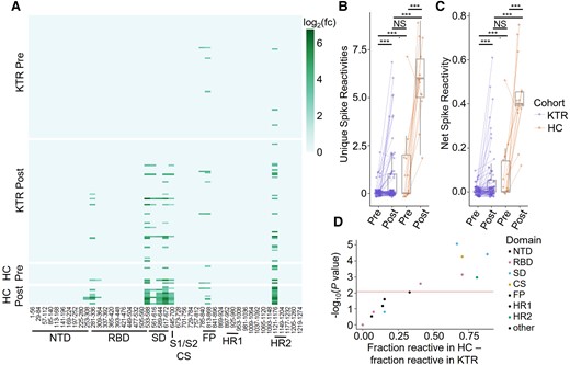 A, Heatmap of SARS-CoV-2 spike epitope reactivities for KTRs and HCs before (Pre) and 30 days after (Post) receiving a third dose of a SARS-CoV-2 mRNA vaccine. B, Number of unique spike epitope reactivities in each group. Groups were compared by Wilcoxon test. C, Net spike reactivity in each group. Groups were compared by Wilcoxon test. D, Differential reactivity to each spike epitope between HCs and KTRs after the third vaccine dose. The P value for each peptide was determined with a Fisher exact test. ***P < .001. Abbreviations: CS, cleavage site; FP, fusion peptide; HC, healthy control; HR, heptad repeat; KTR, kidney transplant recipient; log2(fc), fold change; NS, not significant; NTD, N terminal domain; RBD, receptor-binding domain; S, spike; SARS-CoV-2, severe acute respiratory syndrome coronavirus 2; SD, subdomain.