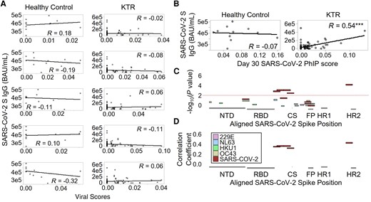 A, Viral scores for ccCoVs prior to receiving a third vaccine dose compared to total SARS-CoV-2 spike IgG after receiving a third vaccine dose for both healthy controls and KTRs. B, Viral scores of SARS-CoV-2 and total SARS-CoV-2 spike IgG were compared at the same postboost time point. C, Negative log10 P value from Pearson correlations between CoV spike epitope reactivities and NT-AUC in kidney transplant recipients. Peptides from the 4 common cold coronaviruses and SARS-CoV-2 were mapped to the SARS-CoV-2 protein. D, Pearson correlation coefficients for spike peptides that significantly correlated with NT-AUC. ***P < .001. Abbreviations: BAU, binding antibody unit; ccCoV, common cold coronavirus; CS, cleavage site; FP, fusion peptide; HR, heptad repeat; IgG, immunoglobulin G; KTR, kidney transplant recipients; NT-AUC, neutralizing titer area under the curve; NTD, N terminal domain; PhIP, phage display immunoprecipitation; RBD, receptor-binding domain; SARS-CoV-2, severe acute respiratory syndrome coronavirus 2.