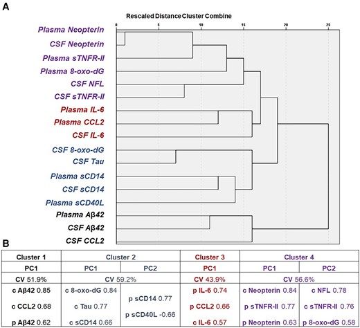 Results of hierarchical clustering and subsequent PC analysis of blood and CSF biomarkers. A, The 4 clusters identified at hierarchical clustering at a threshold of distance of 15–20: cluster 1 was composed of CSF and plasma BA42 and CSF CCL2; cluster 2 was composed of CSF and plasma sCD14, CSF tau, CSF 8-oxo-dG, and plasma sCD40L; cluster 3 was composed of plasma CCL2 and plasma and CSF IL-6; cluster 4 was composed of the remaining biomarkers. B, The component identified in each cluster, the cumulative proportion of variance explained within cluster, and the biomarkers factored into each PC with the respective loading factors. The sign of all loading factors goes in the same direction (positive), but for PC2 of cluster 2, where plasma sCD14 increases while plasma sCD40L decreases. Abbreviations: 8-oxo-dG, 8-oxo-2′-deoxyguanosine; Aβ42, fragment 1–42 of β amyloid; c, CSF, cerebrospinal fluid; CCL2, chemokine C-C motif ligand 2; CV, cumulative % variance; IL-6, interleukin 6; NFL, neurofilament light chain; p, plasma; PC, principal component; sCD14, soluble cluster of differentiation 14; sCD40L, soluble ligand of cluster of differentiation 40; sTNFR-II, soluble tumor necrosis factor receptor type II; tau, total tau protein.
