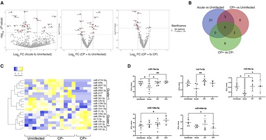 DE bdEV miRNAs in SIV infection. A, Volcano plots of bdEV miRNA log2FC and P value for acute/uninfected (left), CP+/uninfected (middle), and CP+/CP− (right). Dashe lines are thresholds for 2-fold change and P < .05. Significance of miRNAs was indicated based on non-adjusted P < .05. B, Venn diagrams of DE miRNAs (nonadjusted P < .05) in acute and CP+ versus uninfected and CP+ versus CP−. C, Unsupervised hierarchical clustering of 20 DE bdEV miRNAs of CP+ versus CP− and uninfected. D, qPCR validation for bdEV miR-19a-3p, let-7a-5p, miR-29a-3p, miR-146a-5p, and miR-449a-5p. ΔCq values were normalized to the geometric mean Cq value of internal references: miR-124-3p, miR-125b-5p, and miR-23b-3p. Data are presented as mean ± SD. *P ≤ .05, **P ≤ .01 by 2-tailed Welch t test. Abbreviations: CP, central nervous system pathology; Cq, quantification cycle; DE, differentially expressed; FC, fold change; miRNA, microRNA; qPCR, quantitative polymerase chain reaction; SIV, simian immunodeficiency virus.