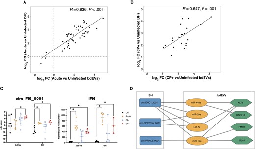 SIV-related mRNA and circRNA changes in bdEVs and BH. A, Correlations of sRNA log2FC in bdEVs and BH: acute versus uninfected. The linear regression line, pearson correlation coefficient (R), and significance (P) are shown for all DE sRNAs, acute versus uninfected. B, Correlations of sRNA log2FC in bdEVs and BH, CP+ versus uninfected. The linear regression line, pearson correlation coefficient (R), and significance (P) are shown for all DE sRNAs, CP+ versus uninfected. C, Levels of circ-IFI6_0001(left) and IFI6 (right) in bdEVs and BH. *Adjusted P < .05 per edgeR. D, Putative ceRNA network. The rectangle nodes represent circRNAs, the oval nodes represent miRNAs, and the hexagon nodes denote mRNAs. Edges are interactions between RNAs. Abbreviations: bdEVs, brain tissue-derived extracellular vesicle; BH, brain homogenate; circRNA, circular RNA; CP, central nervous system pathology; FC, fold change; mRNA, messenger RNA; SIV, simian immunodeficiency virus; sRNA, small RNA.