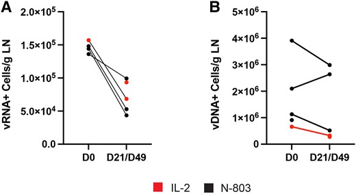 The frequency of (A) vRNA-positive and (B) vDNA-positive cells/g LN is shown. There was a marked and consistent reduction in the frequency of vRNA-positive cells in the 4 participants where we had paired samples but not in the frequency of vDNA-positive cells/g. Abbreviations: D, day; LN, lymph node; vDNA, viral DNA; vRNA, virial RNA.