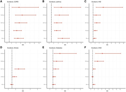 Age-specific rate ratios (RRs) of respiratory syncytial virus–associated respiratory tract infection hospitalization among Scottish adults with comorbidities compared to the overall population. A–F, Estimates for COPD, asthma, IHD, stroke, diabetes, and CKD. RR was not calculated for adults aged 45 to 54 years and 55 to 64 years with stroke, as the lower bound of their rate estimates was negative. Error bars indicate 95% uncertainty range. CKD, chronic kidney disease; COPD, chronic obstructive pulmonary disease; IHD, ischemic heart disease.