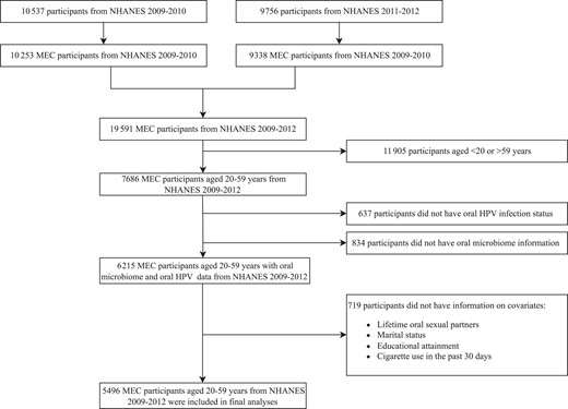 Flow chart of study population selection. We narrowed our study's population age range to 20–59 years to ensure a comprehensive evaluation of all covariates. The oral microbiome data was confined to individuals aged 14–69 years, while the accessible data on oral HPV encompassed ages 18–69 years. Data on the number of sexual partners was limited to ages 18–59 years. As for smoking status, the assessment methods differed significantly between adults over 20 years and those aged 12–19 years. Abbreviations: HPV, human papillomavirus; MEC, mobile examination centers; NHANES, National Health and Nutrition Examination Surveys.