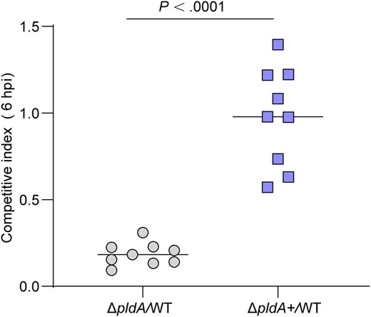 PldA contributes to UPEC colonization during the early stage of infection. Competitive indexes for ΔpldA or ΔpldA+ versus WT in mouse bladders at 6 hpi. n = 9. Data were obtained from 3 independent experiments and are presented as the mean ± SD. P values were determined using the Mann-Whitney U test. Significance is indicated by the P value. Abbreviations: hpi, hours postinfection; UPEC, uropathogenic Escherichia coli; WT, wild type.