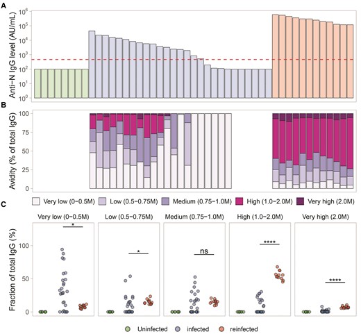 Optimization of the antibody avidity method. A, Levels of anti-N IgG antibodies (AU/mL) between uninfected (n = 9), infected (n = 27), and reinfected (n = 12) individuals from the optimization cohort. The limit of detection of the assay is shown as a dashed red line. B, Anti-N IgG avidity profiles normalized to total IgG in corresponding individuals (vertically aligned with A). C, Fractions of anti-N IgG antibody detectable after increasing concentration of chaotrope agent, with averaged levels for uninfected, infected, and reinfected groups. Samples below the limit of detection of the assay (100 AU/mL) are not shown. Statistical comparisons were performed using 2-sample Wilcoxon signed rank tests. **** P < .0001, * P < .05, P > .05 ns. Abbreviations: IgG, immunoglobulin G; N, nucleocapsid; ns, not significant.