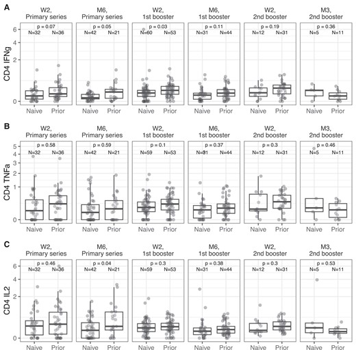 Longitudinal spike-specific cytokine expression in NHR CD4+ memory T cells. Cytokine production in CD4+ memory T cells was examined using flow cytometry from W2 after the primary vaccine series to 3 months after the second booster (M3). Results from subjects with prior COVID-19 infection and from COVID-19–naive donors are labeled on the x-axis. Overlaid boxplots display the median in bold line and the 1st and 3rd quartiles at the top and bottom of the box with whiskers that extend to the highest value within 1.5 times the interquartile range (IQR) above the 3rd quartile and below the 1st quartile. P values for Wilcoxon-Mann-Whitney rank sum tests comparing COVID-19–naive and previously infected NHR are reported for each time point on the graphs for (A) IFN-γ+ frequencies in memory CD4+ T cells, (B) TNF-ɑ+ frequencies, and (C) IL-2+ frequencies. Sample size for COVID-19–naive (naive) and previously infected (prior) individuals are reported for each time point on the graph. Abbreviations: COVID-19, coronavirus disease 2019; IFN-γ, interferon-γ; IL-2, interleukin 2; M3, 3 months; NHR, nursing home resident; TNF-ɑ, tumor necrosis factor-α; W2, 2 weeks.