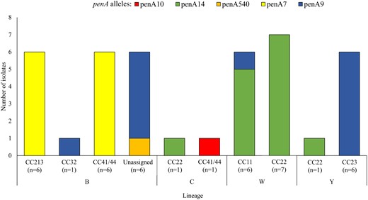 PenA gene alleles detected among invasive meningococcal isolates intermediately resistant to penicillin, by serogroup and lineage, South Africa, 2016 to 2021 (n = 41).