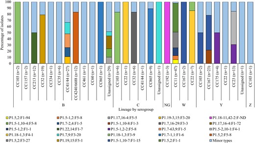 Diversity of PorA:FetA variants contributing >1% of invasive meningococcal diseases isolates (N = 241), South Africa, 2016–2021. Data were extracted from the PubMLST Neisseria database using the export dataset analysis tool. The rest of the variants were categorized as minor types (Supplementary Table 2). Abbreviations: CC, clonal complex; NG, nongroupable.