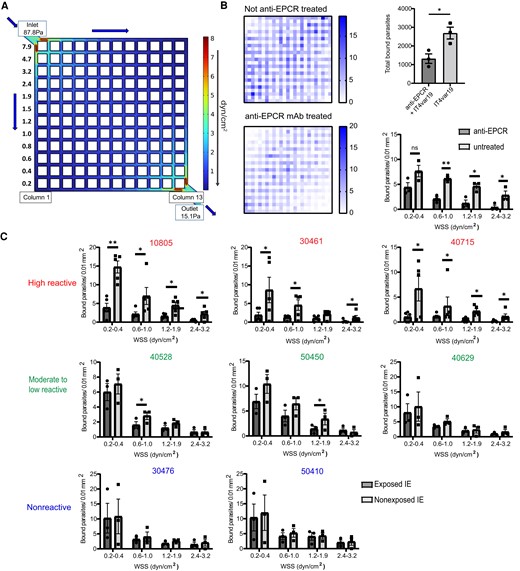 Effect of flow velocity on the adhesion-blocking activity of Malawian plasma in 3D brain microvessels. A, COMSOL simulation of the initial estimated WSS (z = 0 μm) distributions of the 13 × 13 3D brain microvessels showing column 1 and column 13 used to study flow-dependency of plasma inhibitory activity. B, Binding of IT4var19-IEs in the presence or absence of anti-EPCR monoclonal antibody. Left, heat map of IE binding in 3D brain microvessels that were not treated (top) or pretreated (bottom) with anti-EPCR monoclonal antibody. Right, top chart shows total count of IT4var19-IEs in the vessels. Bottom chart shows quantification strategy considering only column 1 and 13 for effect of flow velocity on adhesion inhibition (error bars indicate standard error of mean). C, Flow-dependent inhibitory activity of Malawi plasma samples considering columns 1 and 13 to assess binding inhibition at different flow regions in the microvessels (n = 5 independent 3D brain microvessel devices for high reactive plasma samples, n = 3 independent 3D brain microvessel devices for moderate to low and nonreactive plasma samples; *P < .05, **P < .01, unpaired t test). Abbreviations: 3D, 3 dimensional; EPCR, endothelial protein C receptor; IE, infected erythrocyte; mAb, monoclonal antibody; WSS, wall shear stress.