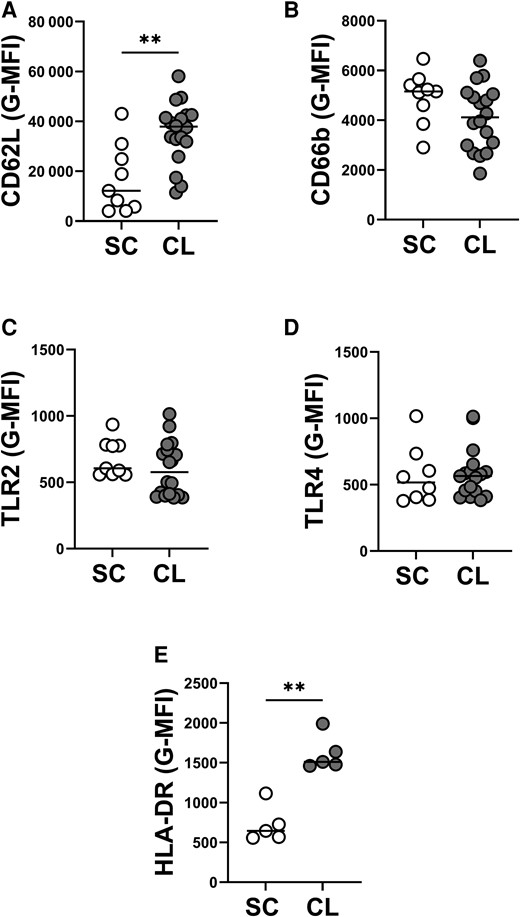 Surface markers expression on neutrophils from individuals with subclinical (SC) infection and patients with cutaneous leishmaniasis (CL). Whole blood was collected from individuals with SC infection (n = 9) or patients with CL (n = 18), then an aliquot was diluted with RPMI media and stained directly ex vivo with flow cytometry antibodies. Quantification of geometric mean fluorescence intensity (G-MFI) of CD15+ neutrophils expressing CD62L (A), CD66b (B), TLR2 (C), TLR4 (D), and HLA-DR (E) are shown above. Statistical analysis was performed using Mann-Whitney test (**P < .01).