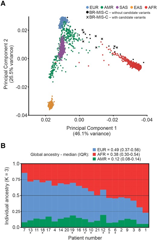 Ancestry analyses of the MIS-C cases. A, Principal component analysis of 21 patients (with or without variants potentially implicated in MIS-C) and samples from the 1000 Genomes Project. B, Individual ancestry bar plot of BR-MIS-C via unsupervised ADMIXTURE analysis. Patients with candidate MIS-C–predisposing variations variants are marked with an asterisk. AFR, Africans; AMR, Native Americans; BR-MIS-C, current cohort with MIS-C; EAS, East Asians; EUR, Europeans; MIS-C, multisystem inflammatory syndrome in children; SAS, South Asians.
