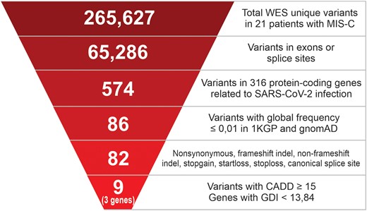 Strategy for prioritizing functional variants in MIS-C cases. The numbers indicated at each step are the remaining unique small-nucleotide variants found after filter application. The list of 316 human protein-coding genes related to SARS-CoV-2 infection was obtained from the Reactome database (R-HSA-9694516). 1KGP, 1000 Genomes Project, phase 3; CADD, combined annotation–dependent depletion algorithm; GDI, gene damage index; gnomAD, Genome Aggregation Database version 2.1.1; MIS-C, multisystem inflammatory syndrome in children; WES, whole exome sequencing.