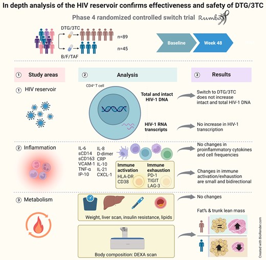 This graphical abstract is also available at Tidbit: https://tidbitapp.io/tidbits/in-depth-analysis-of-the-hiv-reservoir-confirms-effectiveness-and-safety-of-dtg-3tc-in-a-phase-4-randomized-controlled-switch-trial-rumba
