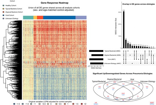 Summary of differentially expressed (DE) genes in children hospitalized with pneumonia vs healthy controls, overall and by pathogen group. The heatmap displays log2 counts per million comparing viral, typical bacterial, atypical bacterial, and unknown pneumonia etiologies to the healthy control cohort, adjusted for sex and age. Rows represent the union of all DE genes shared across the 4 pneumonia groups compared to healthy controls and columns represent individual observations, ordered by etiologic grouping. Blue to red gradient represents low to high z-score values. Dendrograms were obtained using complete linkage clustering of uncentered pairwise Pearson correlation distances between standardized log2-fold changes. The upset plot summarizes the overlap in DE genes between pathogen groups. The horizontal bar plot shows the total number of DE genes for each group and the adjacent filled circles represent unique and overlapping (connected circles) DE genes. The Venn diagram summarizes overlap in DE genes across known pathogen groups and unknown etiologies, with upregulated DE genes represented in red and downregulated DE genes in blue. Abbreviations: DE, differentially expressed; LCPM, log2 counts per million; SDEG, signficant differentially expressed gene.