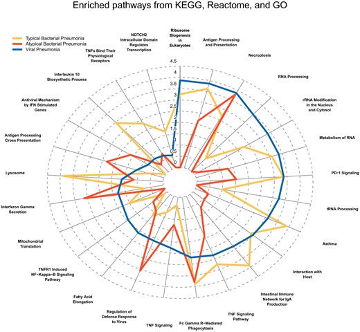 Radar plot displaying the top enriched KEGG, MSigDB Reactome, and MSigDB Gene Ontology (GO) Biological Process gene sets. The top pathways represent those with the greatest difference between etiologies in terms of enrichment score followed by Jaccard index. The distance from the center represents the enrichment score of the differentially expressed genes in the viral pneumonia cohort (blue line), typical bacterial cohort (yellow line), and atypical bacterial cohort (red line). Abbreviations: IFN, interferon; IgA, immunoglobulin A; PD-1, programmed cell death one; rRNA, ribosomal RNA; TNF, tumor necrosis factor; tRNA, transfer RNA.