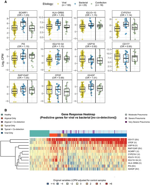 Boxplots (A) and heatmap (B) of differentially expressed (DE) genes predicting viral vs bacterial etiology. To identify gene expression signatures that best predicted viral vs bacterial (without co-detection) infection, a lasso-regularized logistic regression model was fit using the gene expression profiles of the DE genes identified in the typical bacteria, atypical bacterial, and viral-only pathogen cohorts. Box plots and heatmap represent gene expression, quantified as log2 counts per million. Odds ratios in (A) reflect the relative change in odds for viral-only vs bacterial-only etiology associated with a unit change in gene expression. Gene descriptions are listed in Table 2. Abbreviations: CPM, counts per million; LCPM, log2 counts per million; OR, odds ratio.
