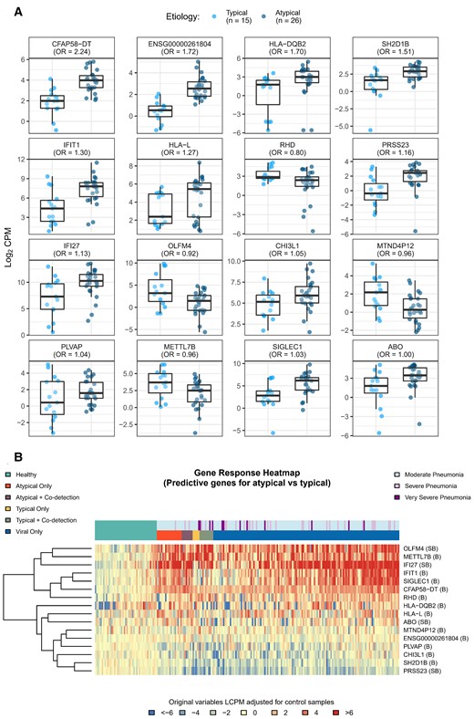 Boxplots (A) and heatmap (B) of differentially expressed (DE) genes predicting typical vs atypical bacterial etiology. To identify gene expression signatures that best predicted typical vs atypical bacterial infection, a lasso-regularized logistic regression model was fit using the gene expression profiles of the DE genes identified in the typical bacteria, atypical bacterial, and viral-only pathogen cohorts. Boxplots and heatmap represent gene expression, quantified as log2 counts per million. Odds ratios reflect the relative change in odds for typical vs atypical bacterial etiology associated with a unit change in gene expression. Gene descriptions are listed in Table 2. Abbreviations: CPM, counts per million; LCPM, log2 counts per million; OR, odds ratio.