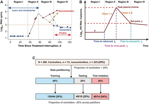 Model illustration. A, Typical viral kinetics of an analytic treatment interruption (ATI) clinical study participant through 4 different regions. Region I is the period when human immunodeficiency virus (HIV) RNA is at or below the limit of detection. Region II is the period when the virus rebounds, resumes replication, and accumulates to the peak; this region is followed by reduction of viral replication. Region III contains viral mixed kinetic patterns, and the boundary of this region corresponds with the viral nadir (or viral set point). Region IV is associated with steady increase in plasma viremia in noncontrollers and sustained reduced plasma viremia in controllers. Dots represent data points for plasma viremia. B, Viral kinetics shown in A are explained with a piecewise ordinary differential equation. The model describes the viral kinetics in each region with a parameter, and these parameters are used to learn and characterize early predictors (from regions I and II) that classify ATI long-term outcomes observed in region IV. C, Data partitioning into the training, testing, and clinical imitation subsets used to identify and validate the performance of the predictors. The distribution of controllers vs noncontrollers was ~25% and was balaned in each data partition.