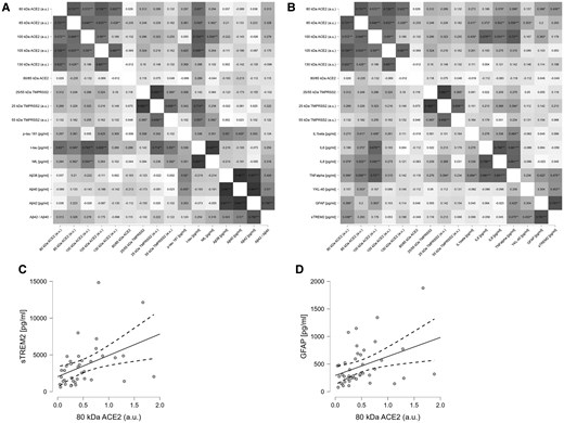 Correlation matrices based on Pearson test for all the determined biomarkers from patients with SARS-CoV-2 infection with encephalitis. A, Correlation matrix, corrected for age and sex, of the neurodegeneration markers analyzed in the cohort. B, Correlation matrix, corrected for age, sex, and NfL, of the cytokines and glial markers. Matrices show the value of each of the correlation coefficients; significant correlations are indicated: *P < .5, **P < .05, ***P < .001. C and D, Scatter plot adjusted for age and sex, consistent with the associated correlation matrix, representing correlation of the 80 kDa fragment with (C) sTREM2 and (D) GFAP (solid line represent the correlation, dashed lines represent the 95% confidence interval). Abbreviations: ACE2, angiotensin-converting enzyme 2; Aβ, amyloid-β; AU, arbitrary unit; GFAP, glial fibrillary acidic protein; IL-1β, interleukin 1β; NfL, neurofilament light polypeptide; P-tau, phosphorylated tau; SARS-CoV-2, severe acute respiratory syndrome coronavirus 2; sTREM2, soluble triggering receptor expressed on myeloid cells 2; TNF-α, tumor necrosis factor-α; T-tau, total tau.