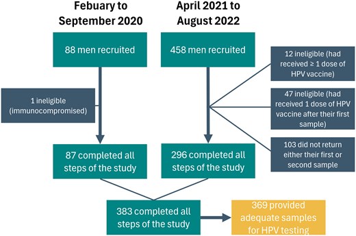 Participants recruited during the 2 recruitment periods. Abbreviation: HPV, human papillomavirus.