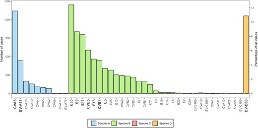 Enterovirus (EV) type distribution. The overall number of cases associated with each detected EV type between 2018 and 2023 (n = 11 605). The 10 most commonly reported EV types among all participants are indicated in bold. Abbreviations: CV, coxsackievirus; E, echovirus; EV, enterovirus.