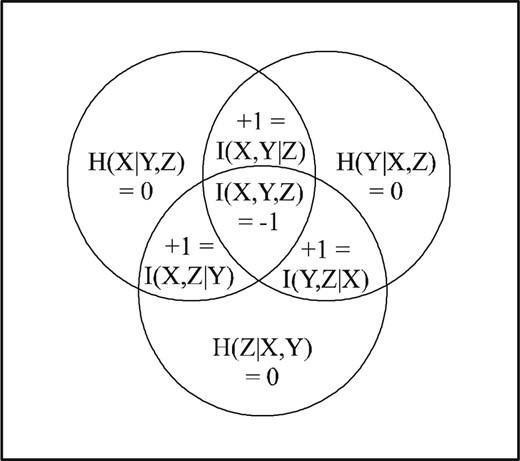 Negative ‘area’ $I\left(X,Y,Z\right) $ in ‘Venn diagram’.