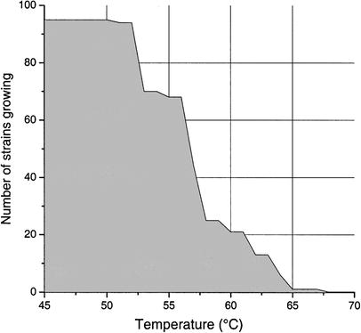 Maximum growth temperatures of the 95 colored strains. The strains were grown on R2A or CTYE-agar plates for 2 days, after which growth was assessed. The strains were then transferred to fresh agar plate, and reincubated at a temperature +3 °C higher than the previous one. The graph shows the highest temperature permitting evident growth in any of the triplicate assays for each strain