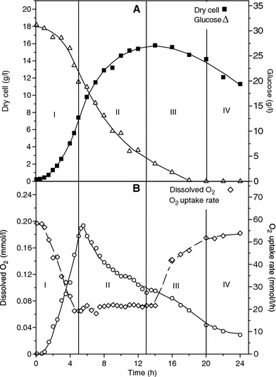 Dry cell and glucose concentrations (a), dissolved oxygen concentration and oxygen uptake rate (OUR) (b), as a function of time in batch run with S 0 = 30.8 g/l