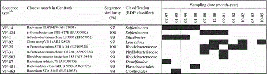 Distribution of bacteria forming major populations in biofilm downstream of deaerator (VFB)