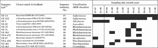 Distribution of bacteria forming major populations in biofilm at the well head (VFA)