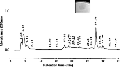 Elution profile of the fourth-round purification by reversed-phase chromatography in HPLC, in a C-18 column using pooled active fraction from the third pass as the starting material. Bacteriocinogenic activity was found in the fraction eluted at 27.72 min, and an inhibition halo was inserted