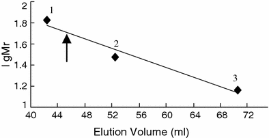 Determination of the molecular weight of RhSOD. Gel filtration was performed on a column (1 cm × 100 cm) of Sepharose G-75. Standard proteins: (1) BSA (66 kDa), (2) carbonic anhydrase (30 kDa), (3) lysozyme (14.4 kDa). The arrow indicates the elution volume of Rhodothermus sp. SOD