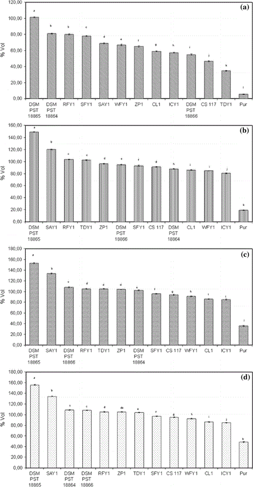 For the determination of leavening ability, strains were grown in an orbital shaker (200 rev min−1) at 30°C in 2,000-ml Erlenmeyer flasks containing 1,000 ml of YPG broth, pH 6.0. Cells were harvested at stationary phase by centrifugation at 4°C, washed twice with ice-cold distilled water and filtered to the obtained the yeast cake. Sicilian durum wheat semolina (var. Mongibello) was used for dough preparation. Yeasts were added to the dough at 3% (2.1–2.5 × 1010 viable cells g−1). The following ingredients were mixed in a dough mixer (Bakermix 80): 250 g of flour, 7.5 ml of yeast (wet weight), 5.0 g of salt and 135.0 ml of water at 20°C. After mixing, the doughs were put in sterile cylinders and incubated at 35°C per 4 h. The leavening powers were calculated at intervals of 1 h during incubation time as the difference (volume increase) between the values immediately after inoculation (t = 0 h) and the values at the successive time points. Five replications were performed for each strain of yeast. Leavening ability (volume increase ± SD) in durum wheat semolina by different yeast strains after (a) 1 h; (b) 2 h; (c) 3 h; (d) 4 h of fermentation. The results are expressed as mean values of five independent experiments, for which the SDs were below 1%, *P < 0.01. Yeast species for the different fermentations are listed in Table 1