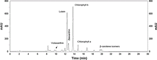 Typical chromatogram from photoautotrophically grown C. acidophila extracts. Peaks for major carotenoids are indicated