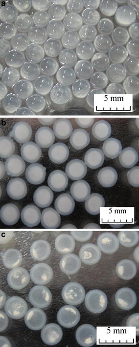 LSSE-09-containing capsules (CaCl2 concentration 0.3 M): a fresh capsules; b fresh capsules suspended in Tris–HCl buffer; c capsules suspended in Tris–HCl buffer after 7 days’ storage