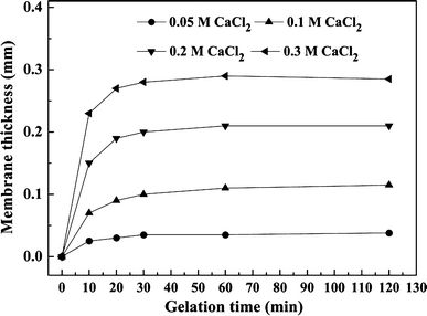 Growth of membrane thickness with gelation time at different CaCl2 concentrations (0.5% w/v SA)