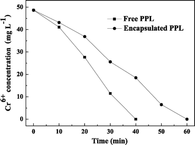 Cr(VI) reduction capacity with reaction time