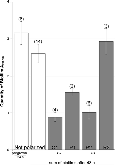 Effect of polarization on biofilms of D. geothermalis on stainless steel. Biofilms were grown in SPW in stainless steel vials for 24 h, then emptied, rinsed, and refilled as described in Fig. 2 and subsequently polarized for 48 h. The y-axis indicates the total amount of biofilm resulting from the 24 h + 48 h of growth on nonpolarized (white columns) and polarized surfaces (shaded columns) of the steel vials. The used polarization programs were cathodic (C1), cathodic weighted pulsed (P1 and P2), and pulsed at random anodic and cathodic (R3). The error bars were calculated from independent experiments. Significant difference is indicated P < 0.05 **