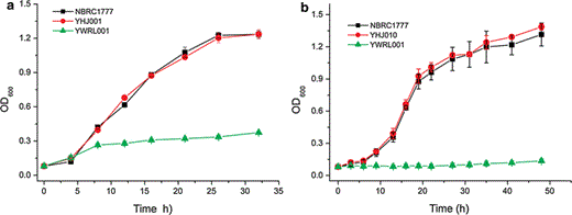 Growth of KmXYL3-disrupted strain YWRL001 in liquid SD medium with xylose (a) or xylitol (b) as sole carbon source