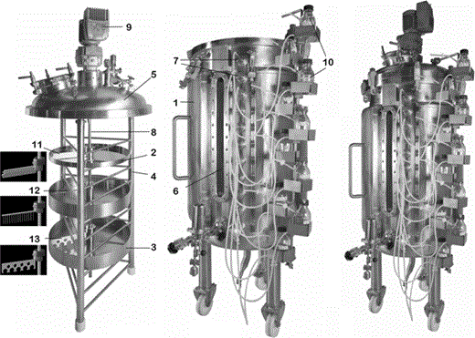 Platotex consists of three principal components: a cylindrical 500-L tank 1 that accepts a frame 4 supporting the cultivation plates and mounted with a cover 5 that fits over the tank opening to ensure tight closure