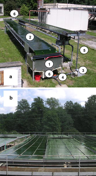 a Outdoor experimental unit for cultivation of microalgae where a thin layer (~6 mm) of microalgal suspension flows along a declined surface (24 m2) with a volume of 170–225 L and surface/volume ratio (S/V) of 100–135 m−1. The unit consists of two declined cultivation lanes made of glass plates supported by scaffolding. It is made up of several parts: (1) retention tank (degasser), (2) inclined cultivation surface, (3) circulation pump, (4) CO2 supply and a three-way valve. The lower end of the upper lane is connected by a trough to the beginning of the lower lane, which is inclined in the opposite direction. The suspension flows into the retention tank (degasser), from where it is pumped by a circulation pump via a riser (5) back to the upper part of the cultivation area, where it is distributed by a perforated tube. Measurement and control sensors (pH, dissolved oxygen, temperature and liquid level) are mounted in the degasser and in the connecting trough (6). The cycle takes about 60–80 s, which can be varied by altering the pump velocity. The suspension can be harvested via a three-way valve (4). The whole system is controlled by computer software which enables regulation of the cultivation process and data acquisition. b Production unit of 224 m2 with working volume of 2.2 m3 and S/V ratio of 102 m−1. This unit is about ten times larger than the experimental unit