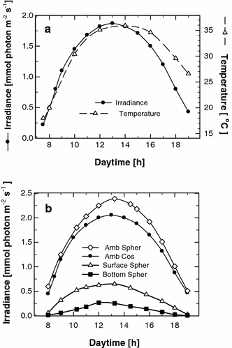 a Diel course of ambient irradiance (measured horizontally with a cosine-corrected sensor) and temperature in a Chlorella culture (biomass density about 10 g L−1). b Diel course of ambient irradiance measured by cosine-corrected (horizontally, 80° angle of incidence) and spherical light sensors (all-direction integrated irradiance). The irradiance impinging on the Chlorella culture (biomass density about 10 g L−1) was also measured using the watertight spherical sensor, which showed the fraction of light penetrating into the microalgae suspension. Since the diameter of this sensor is 3 mm and the depth of the culture was about 6 mm, we were able to measure the surface and bottom half of the culture layer